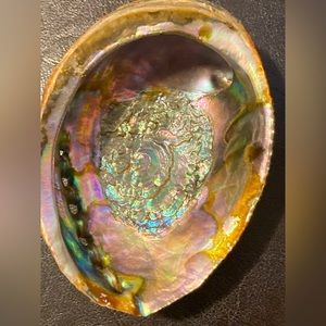 Alabone Shell